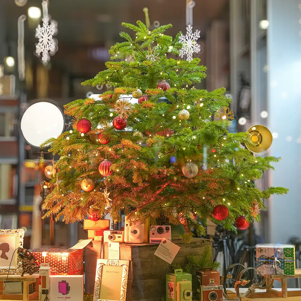 Sonntagsverkauf & Last-Minute-Geschenke: Wir sind für Dich da!