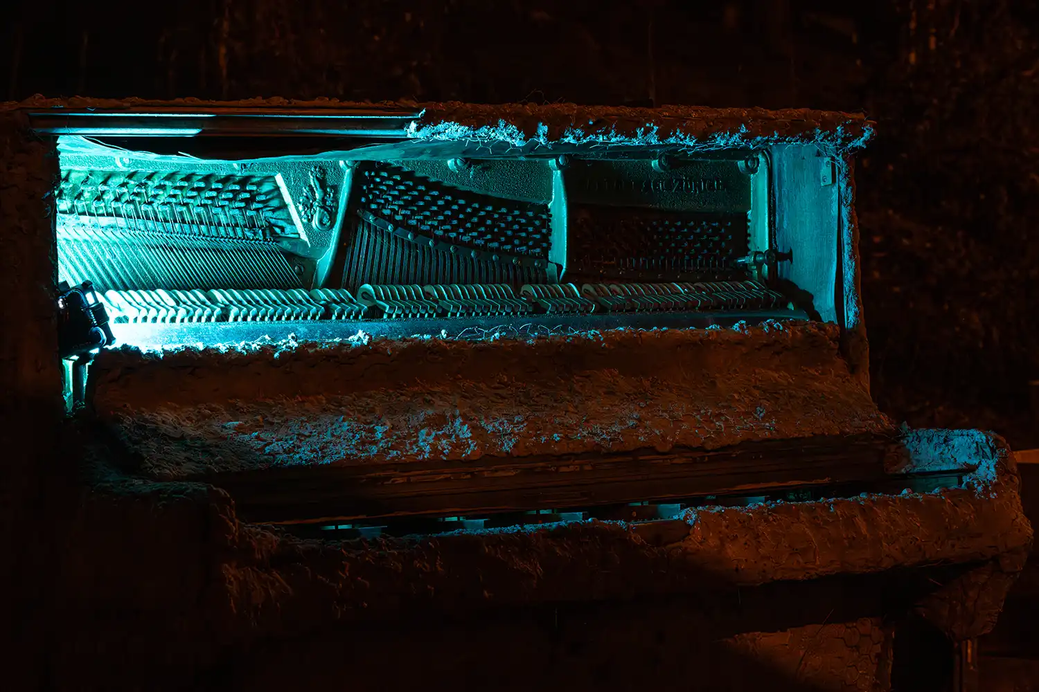 Night Walk 26. Februar 2026 