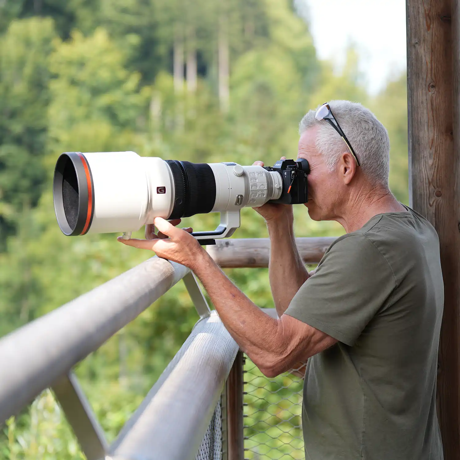 Teste Dich Durch das gesamte Sony Sortiment – Testingday 2026 im Walter Zoo Gossau
