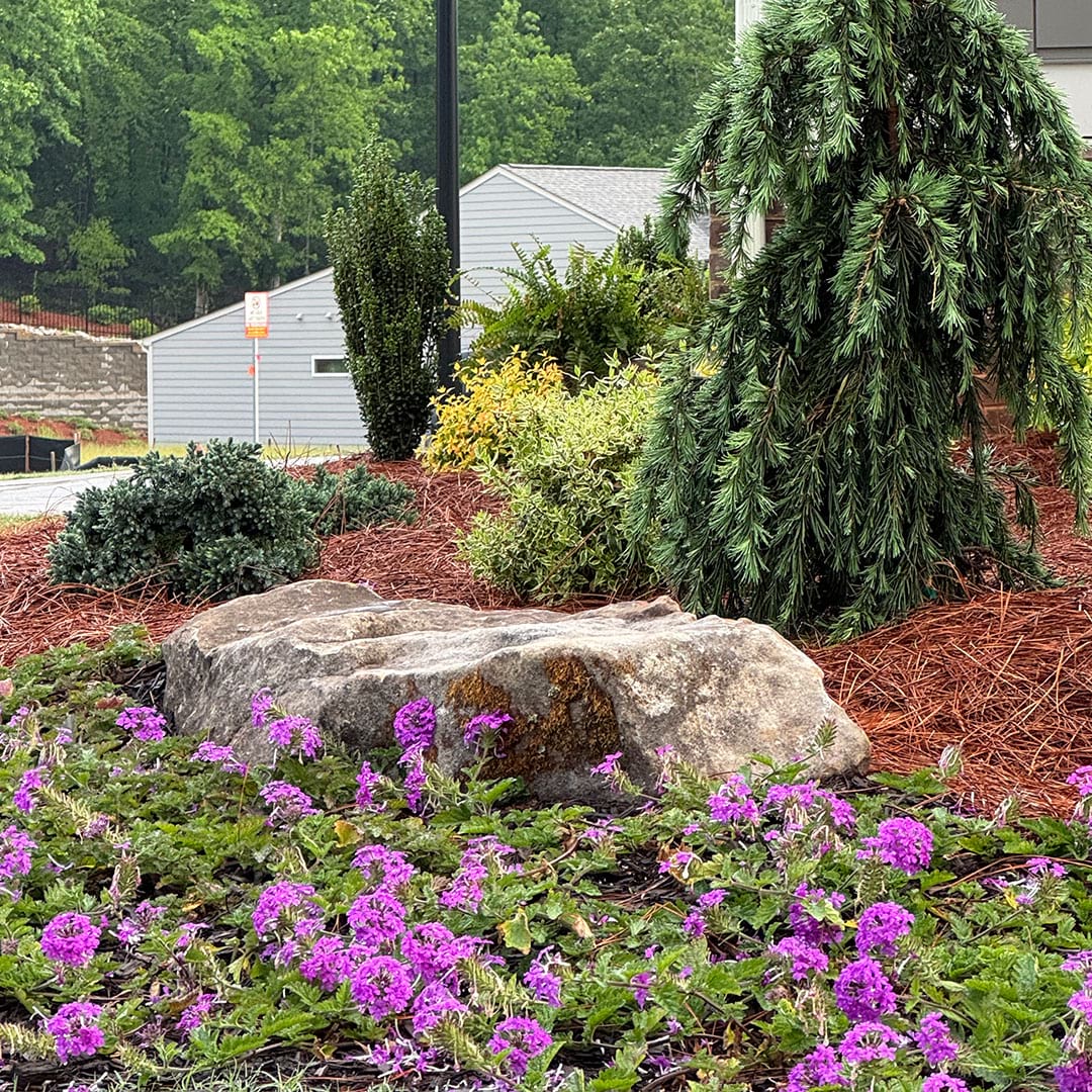 High-quality landscape and hardscape installation in Athens, GA by Magscapes Outdoors