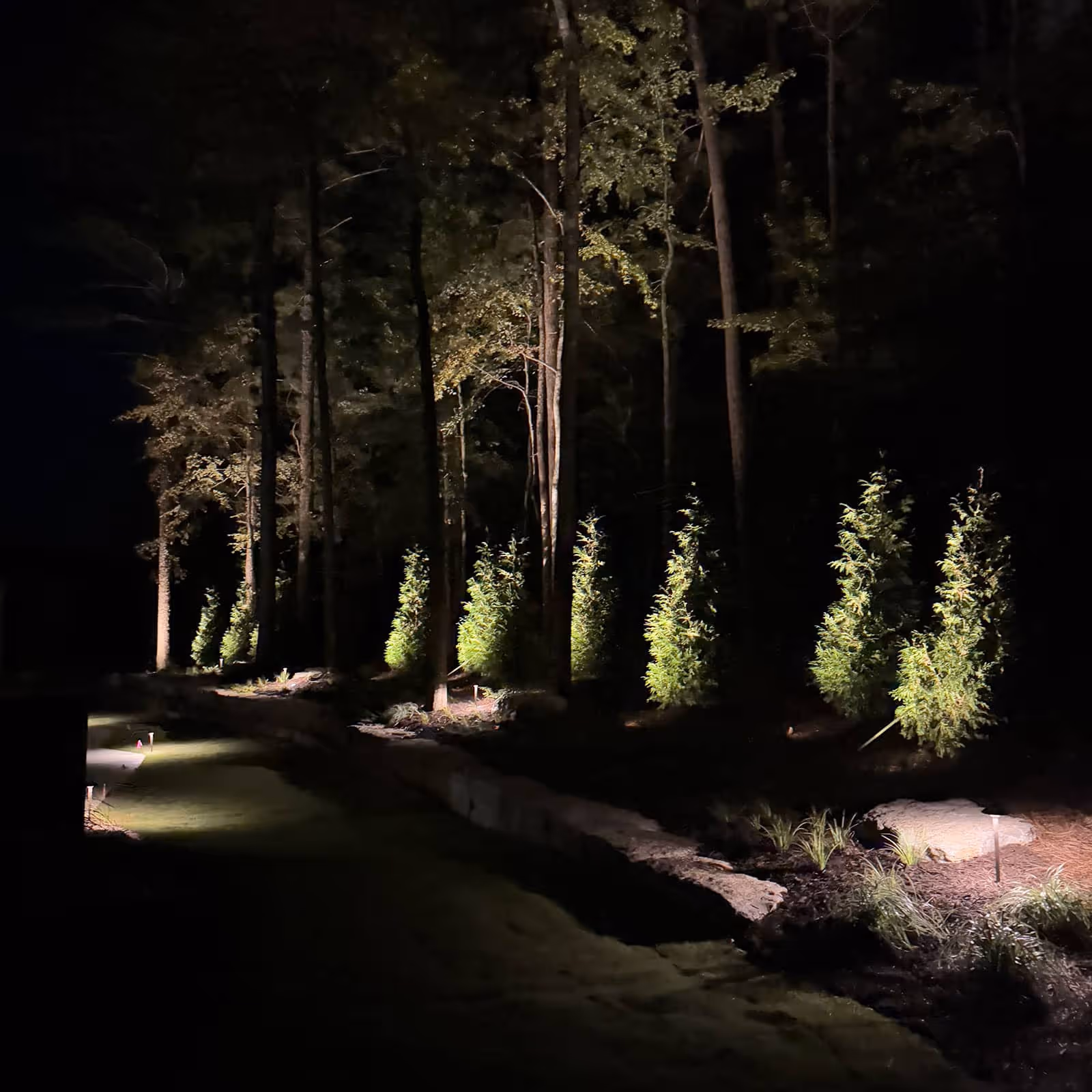 Outdoor lighting installation to enhance safety and curb appeal in Athens, GA