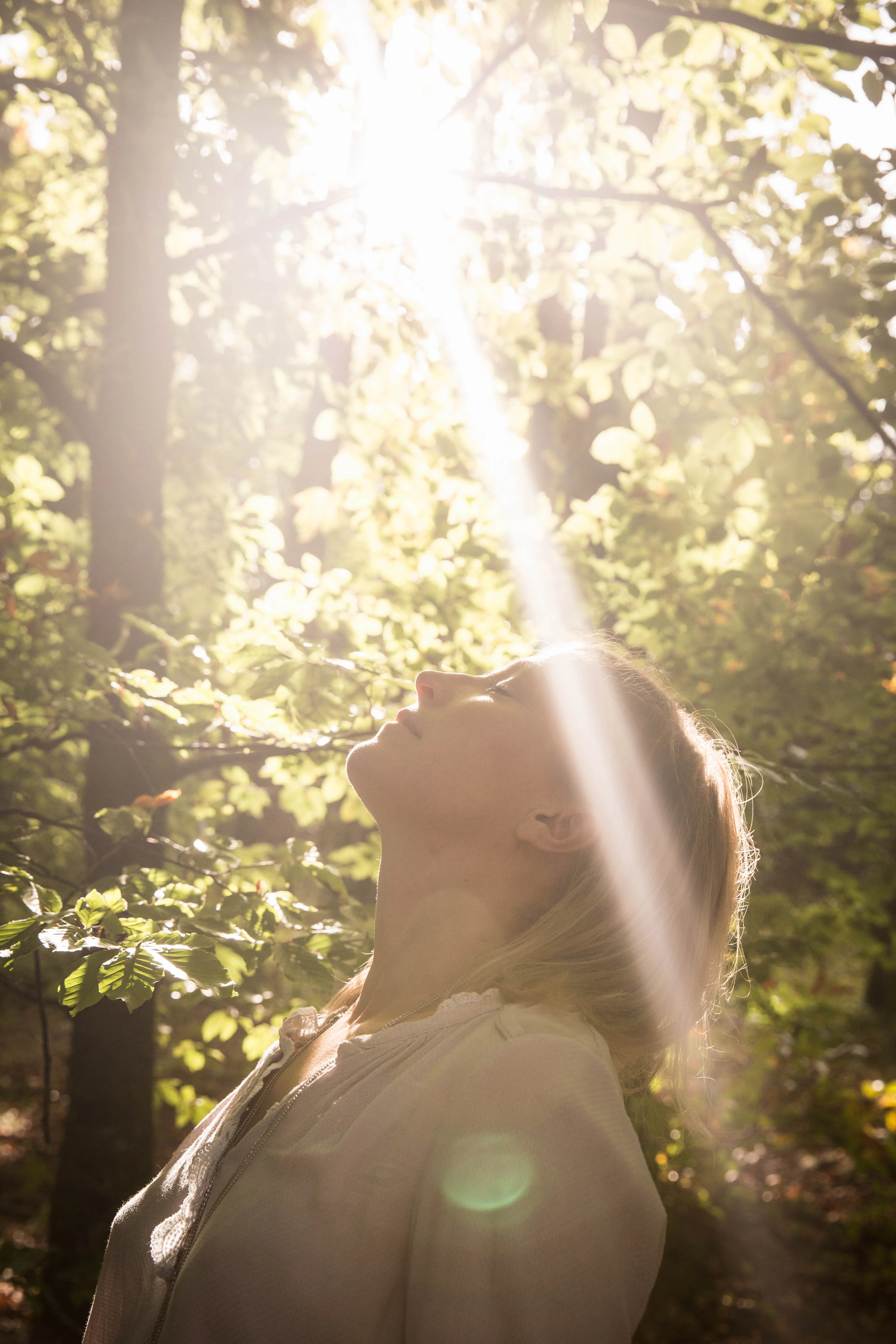 Frau im Wald schaut in die Sonne hoch