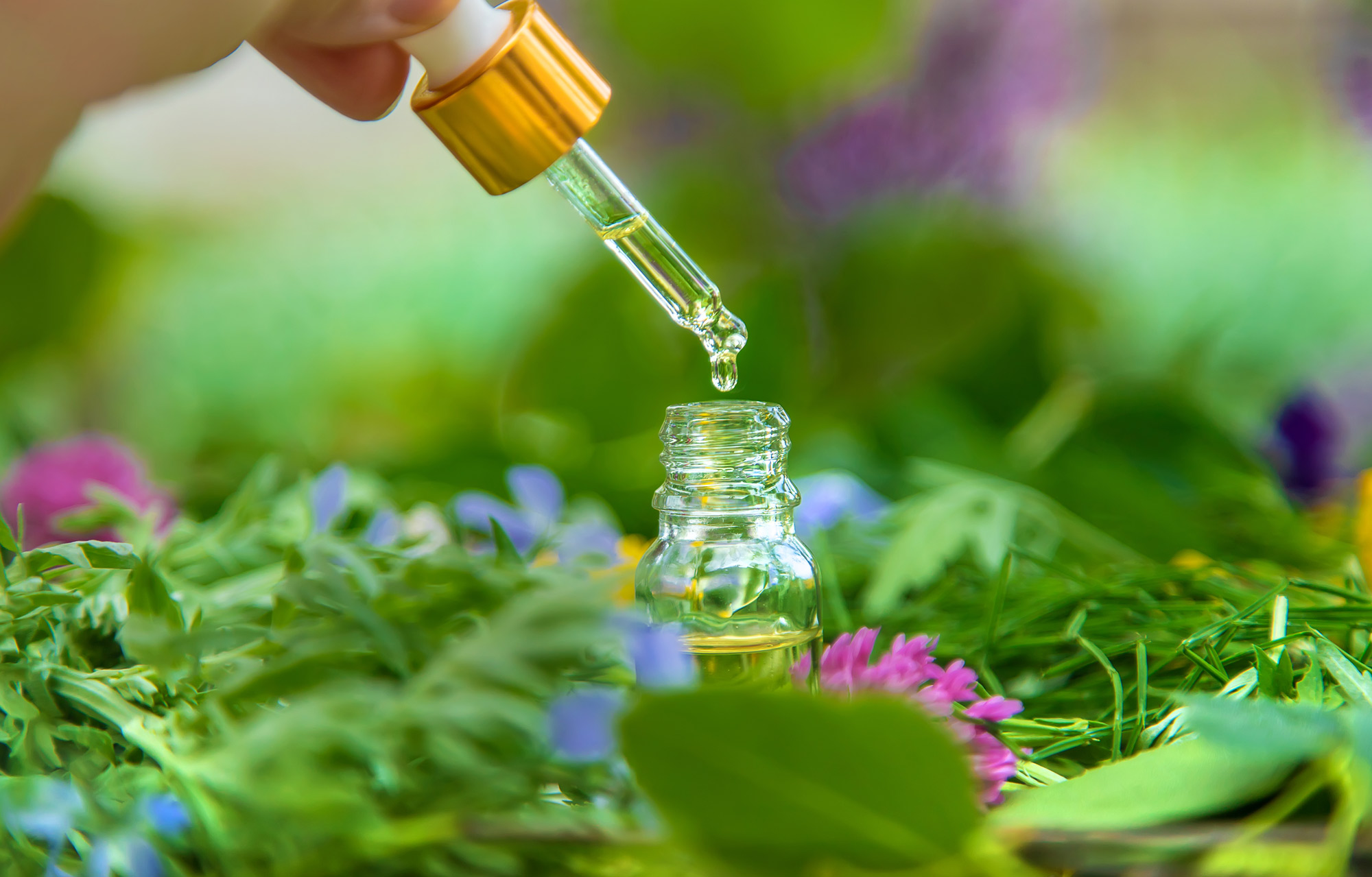 Öl wird mit einer Pipette aus einem Ölfläschchen entnommen, das in mitten von Blumen steht