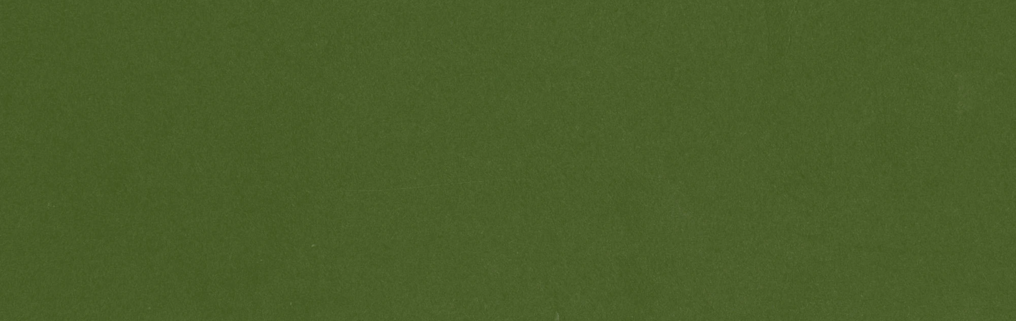 Solid textured green background with no distinct features.