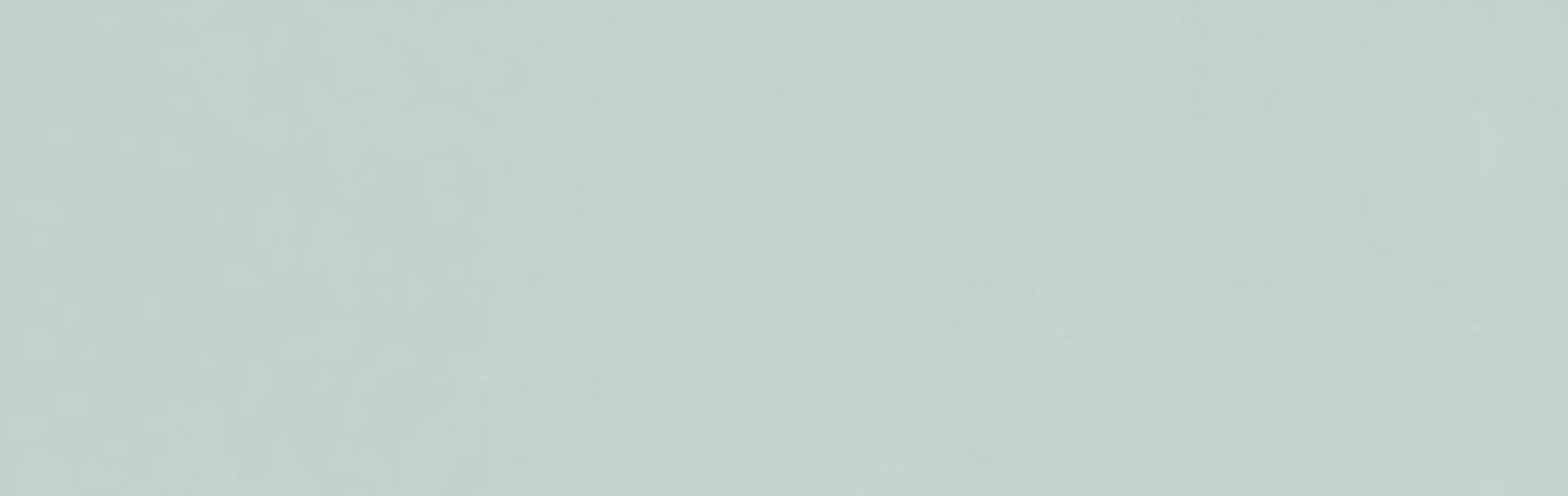 Plain solid muted light teal background with subtle texture.
