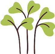 Sprout Icon