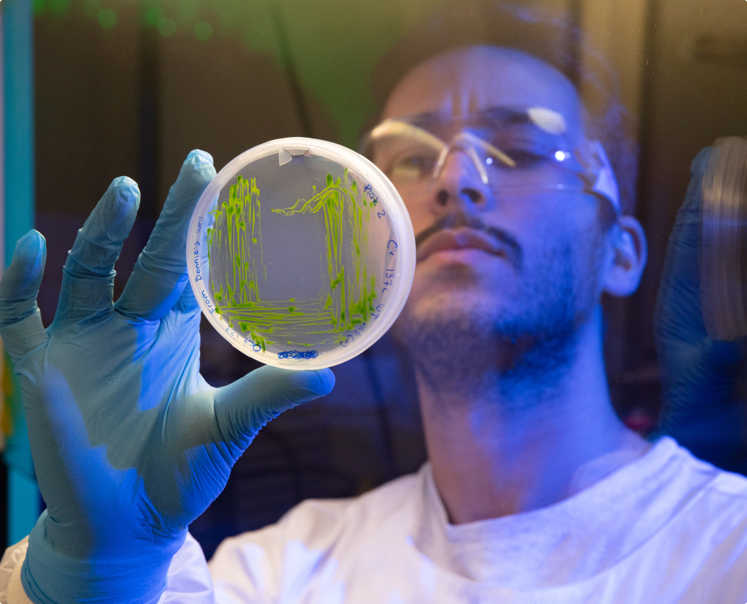 Person inspecting sample