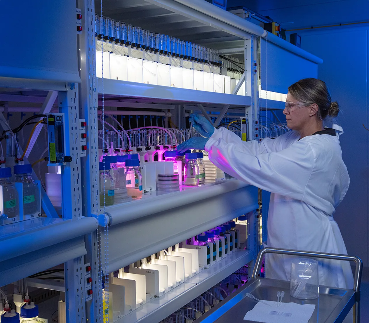Person working in lab