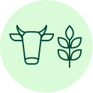 Cow and Seaweed Icon