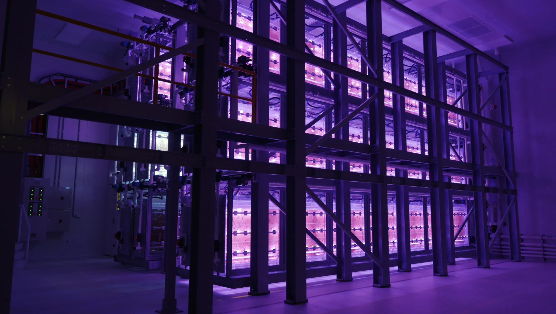 Algae Warehouse Schematic 