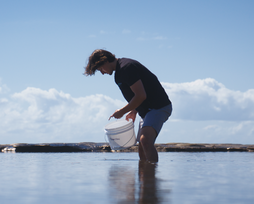 Man standing in shallow water with bucket of seaweed