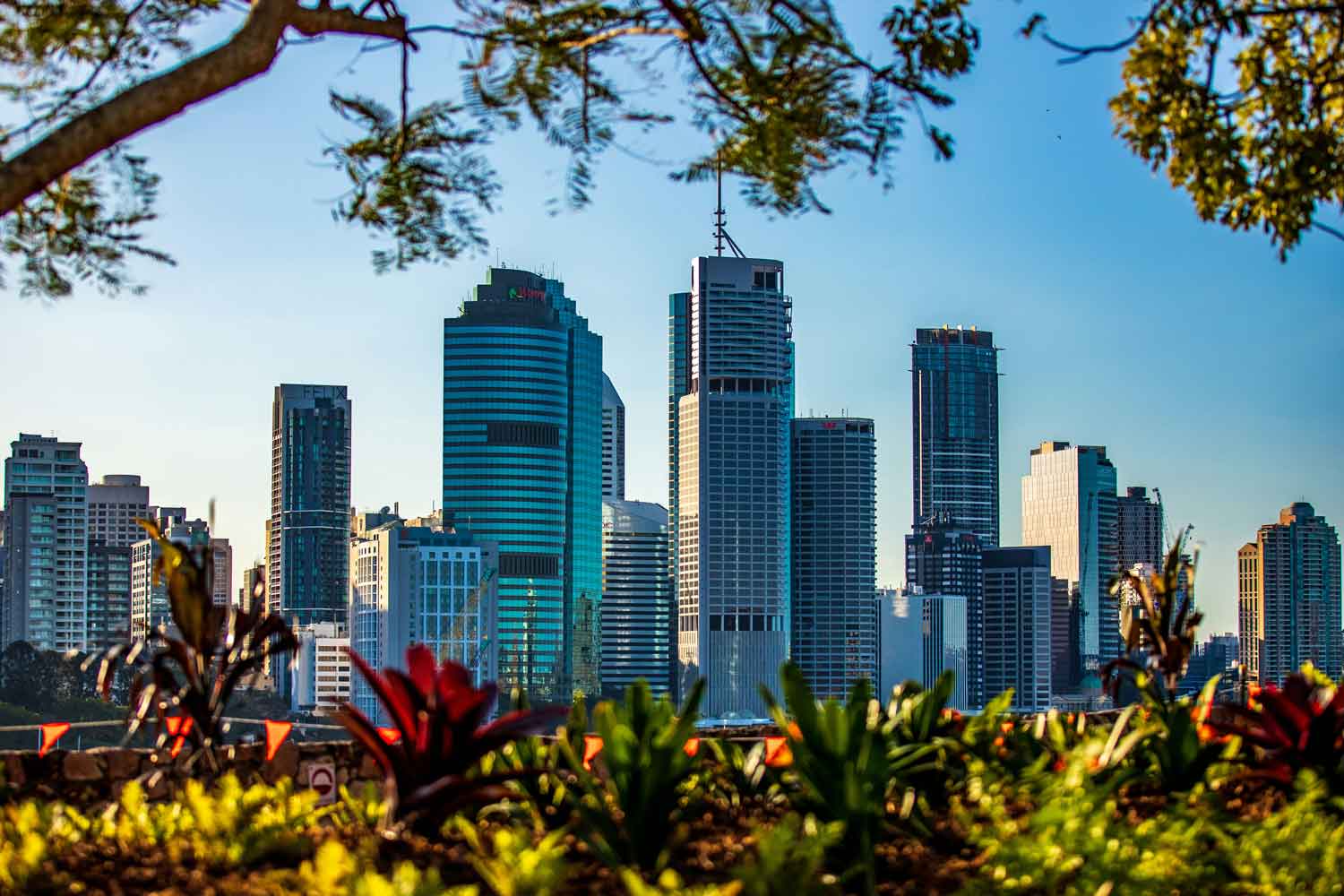 Brisbane city skyline with modern skyscrapers framed by leafy tree branches and colorful plants in the foreground under clear blue sky.