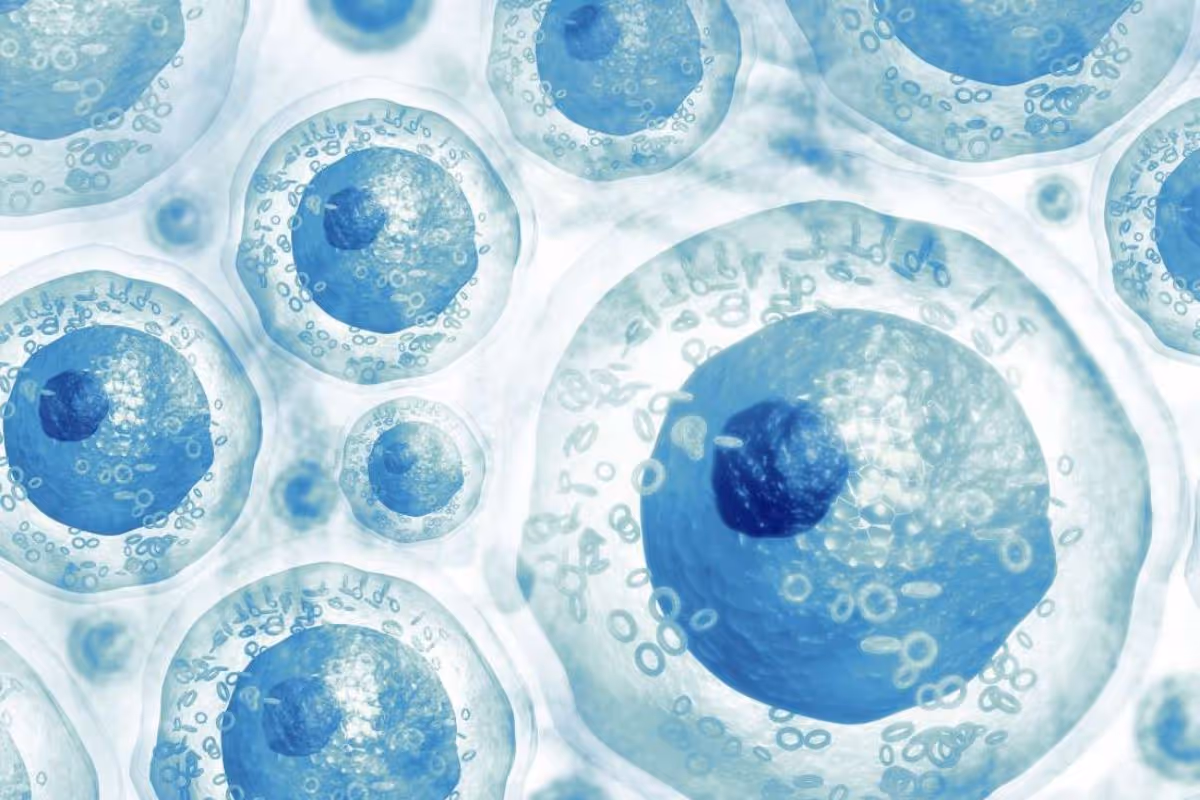 Stem Cell Therapy in Dubai: The Future of Anti-Aging & Longevity