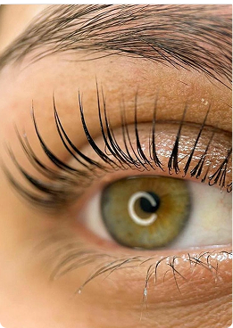 Eyelash Lamination