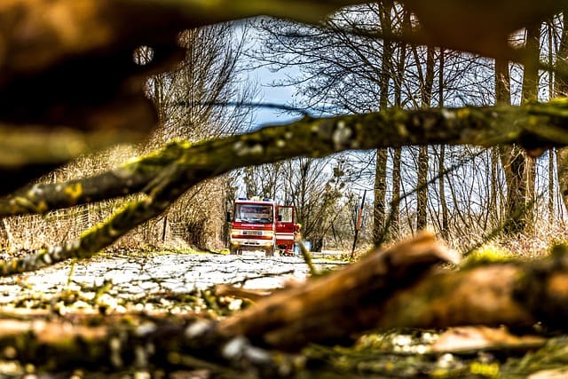 Feuerwehrfahrzeug auf einem Waldweg, fotografiert durch umgestürzte Äste nach einem Sturm.