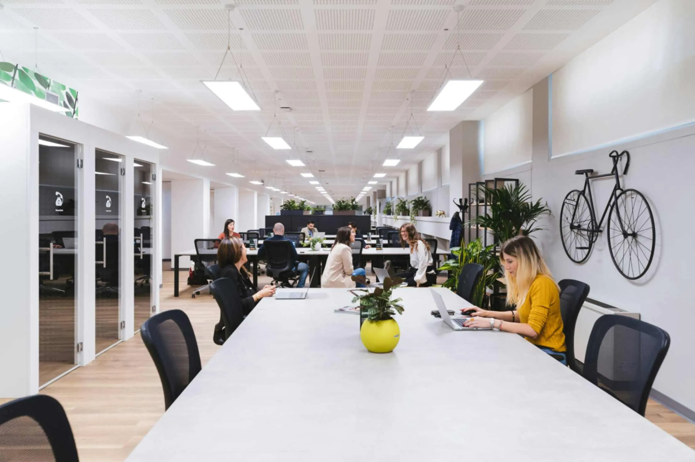 An office space where people are engaged in their tasks at desks, highlighting a dynamic and professional atmosphere.