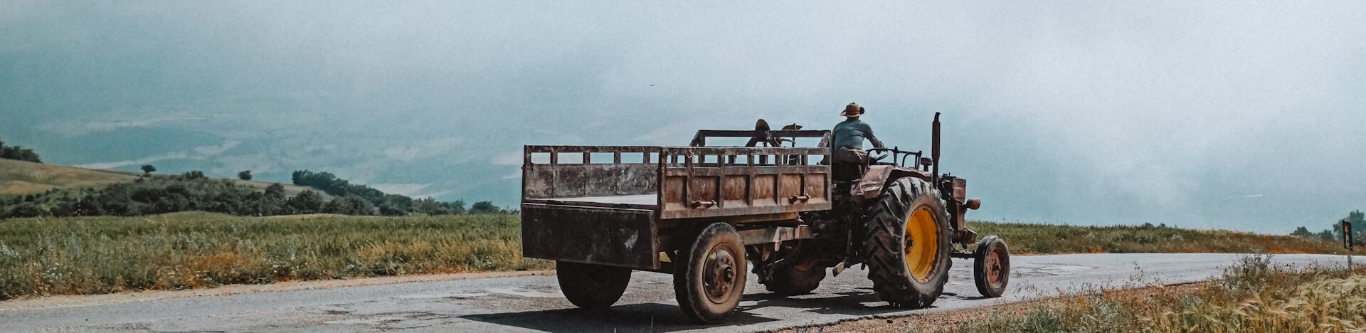 banner image