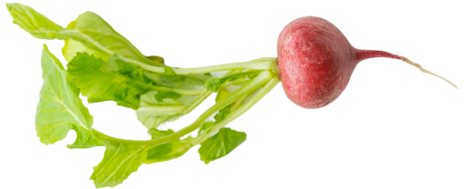 onion image