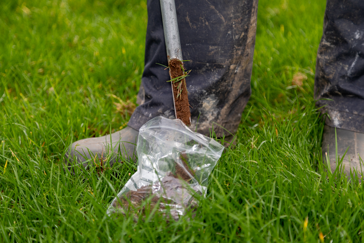 Soil sampling: how often and what to test