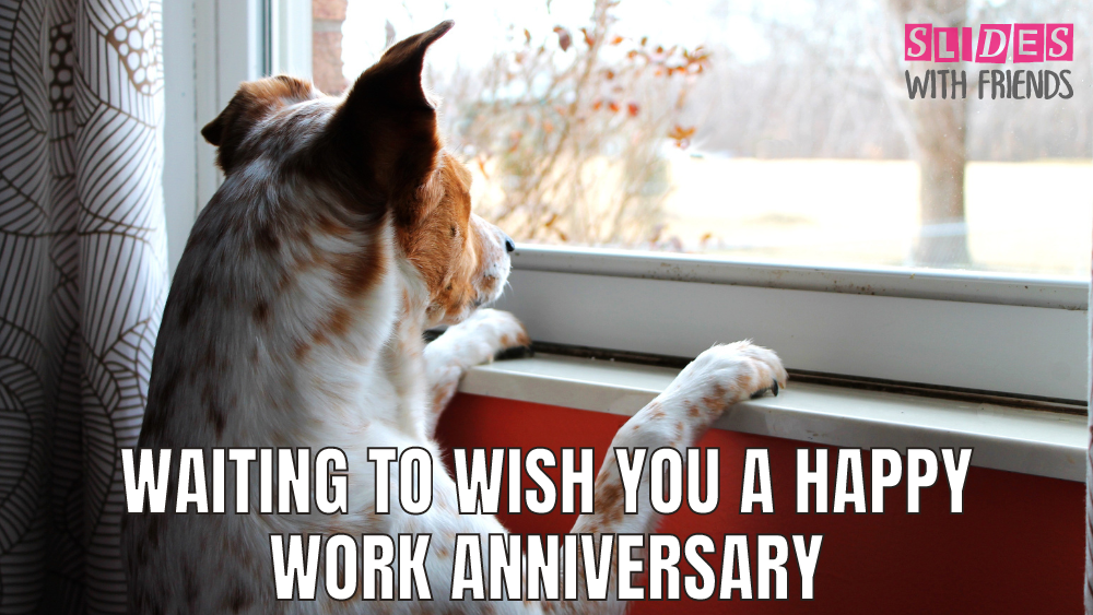 How to Say Happy Work Anniversary! 50 Messages, Quotes, and GIFs