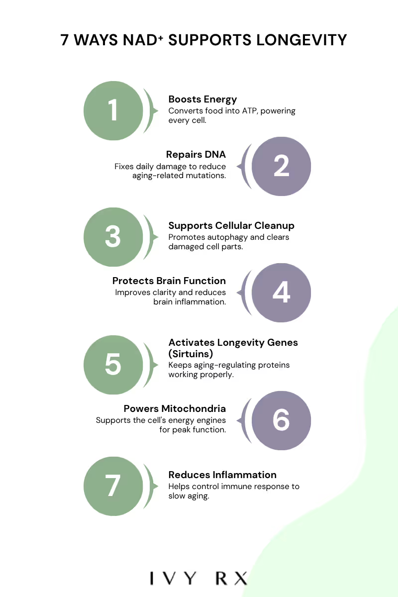 Infographic from Ivy Rx highlighting seven ways NAD+ supports longevity, including boosting energy, repairing DNA, improving brain function, reducing inflammation, and supporting cellular health.