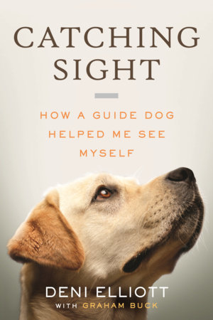 Catching Sight cover: close-up of a yellow Labrador gazing upward against a pale background