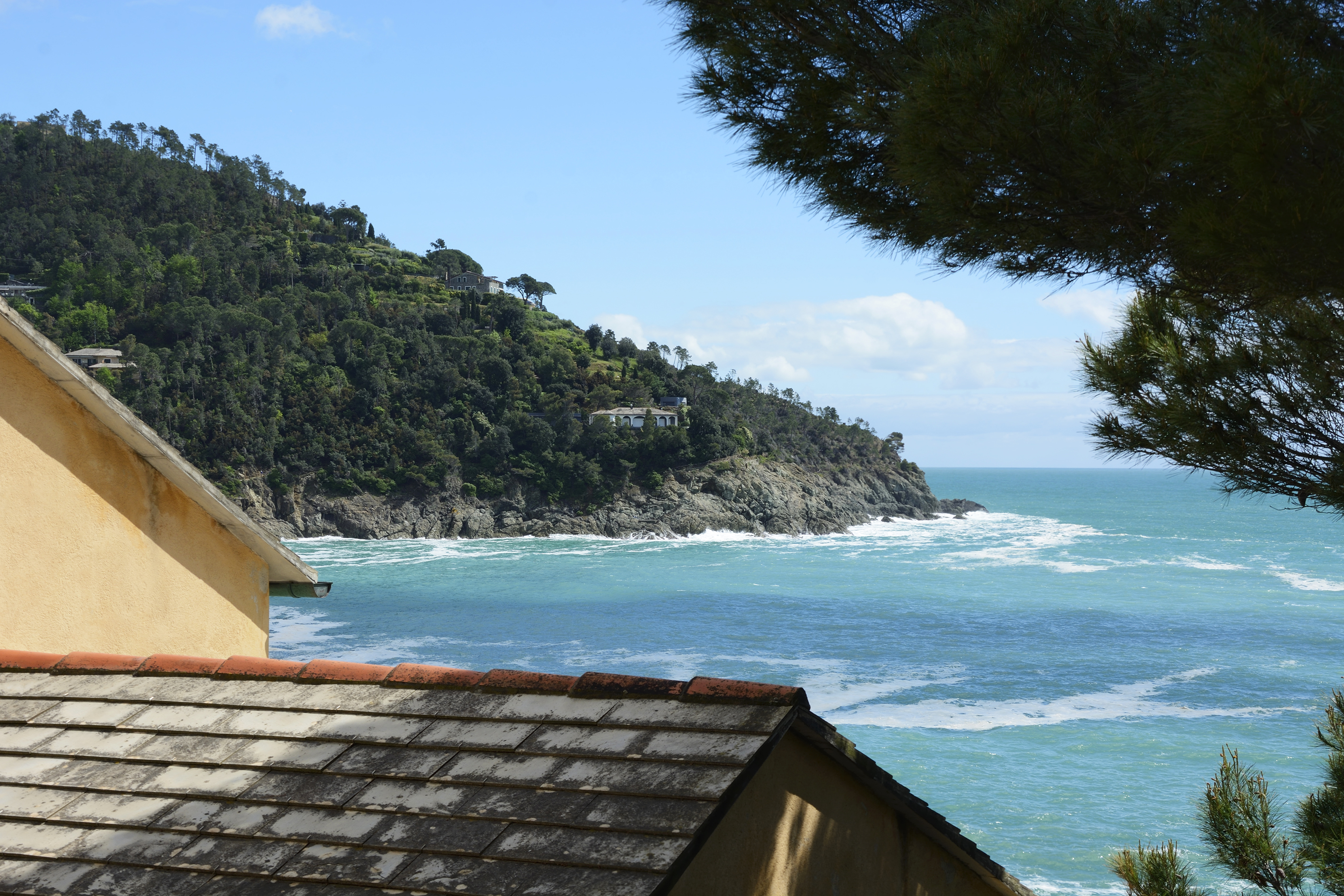 Webdesign-Ocean-Marquee-Intro