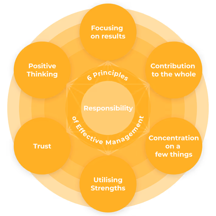 6 principles of effective management