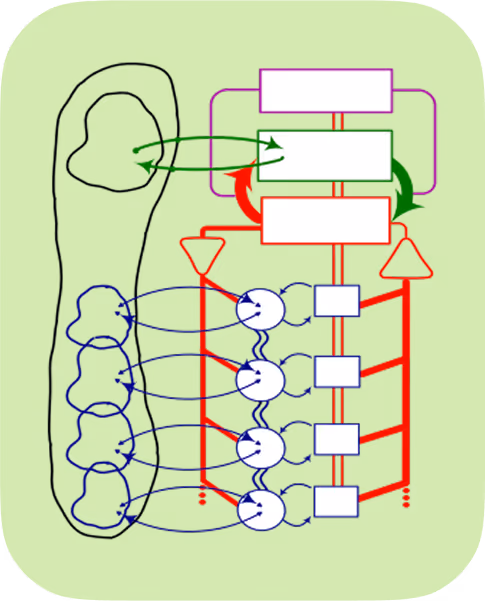 VSM Viable System Model