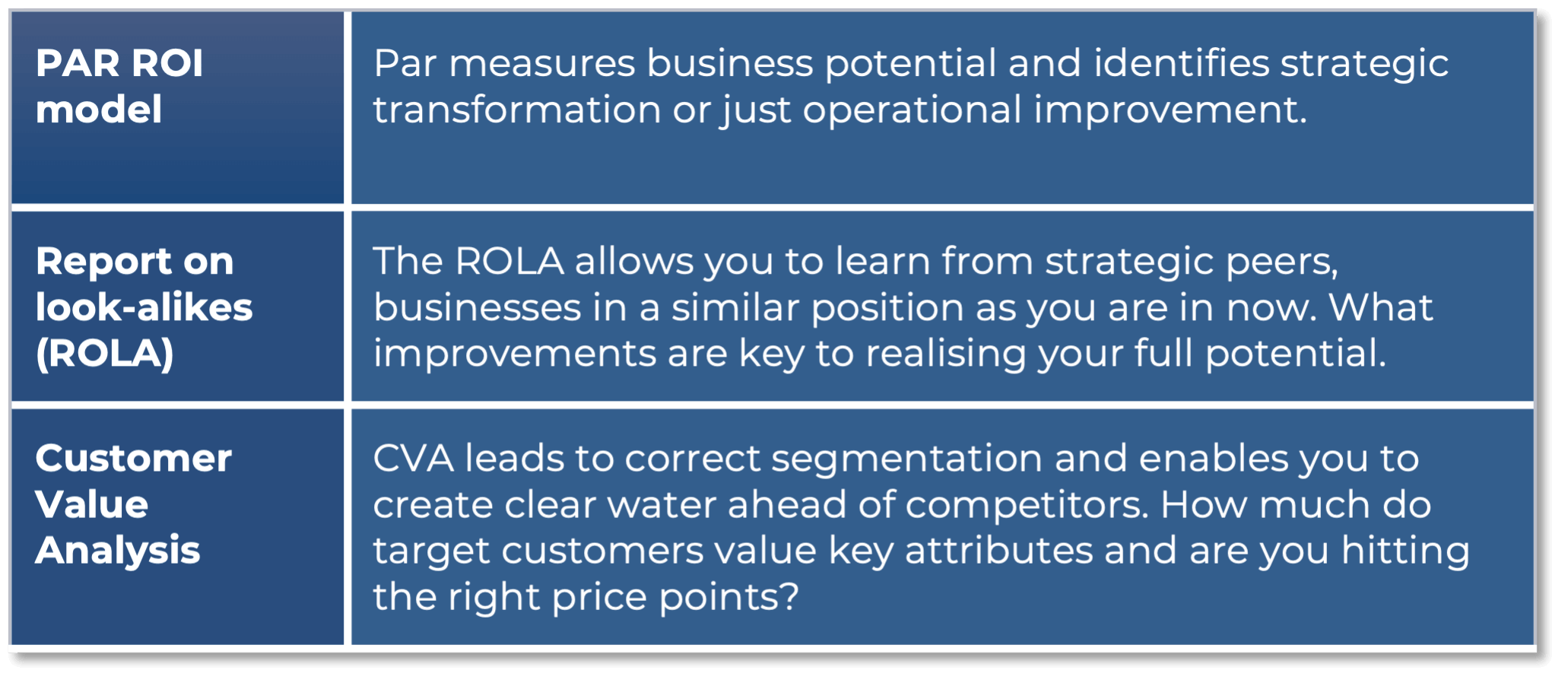 Alt text: A blue and white table features three business analysis tools: PAR ROI model, Report on look-alikes (ROLA), and Customer Value Analysis. Each tool is described, emphasizing its role in measuring business potential, learning from peers, and segmenting customers for competitive advantage.