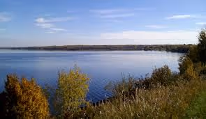 Calm lake with grassy shoreline and autumn trees under a blue sky