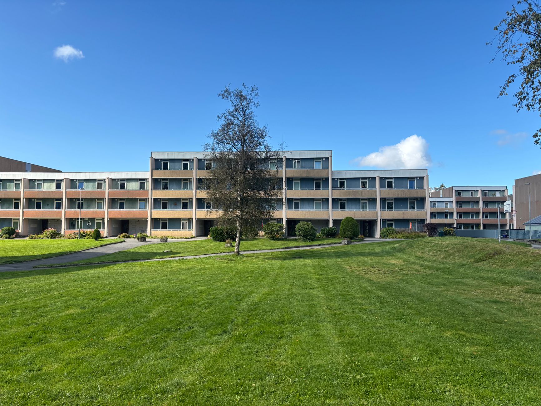 Multi-Unit Rental Mortgage Olds Alberta: Portfolio Strategy â€” hero image