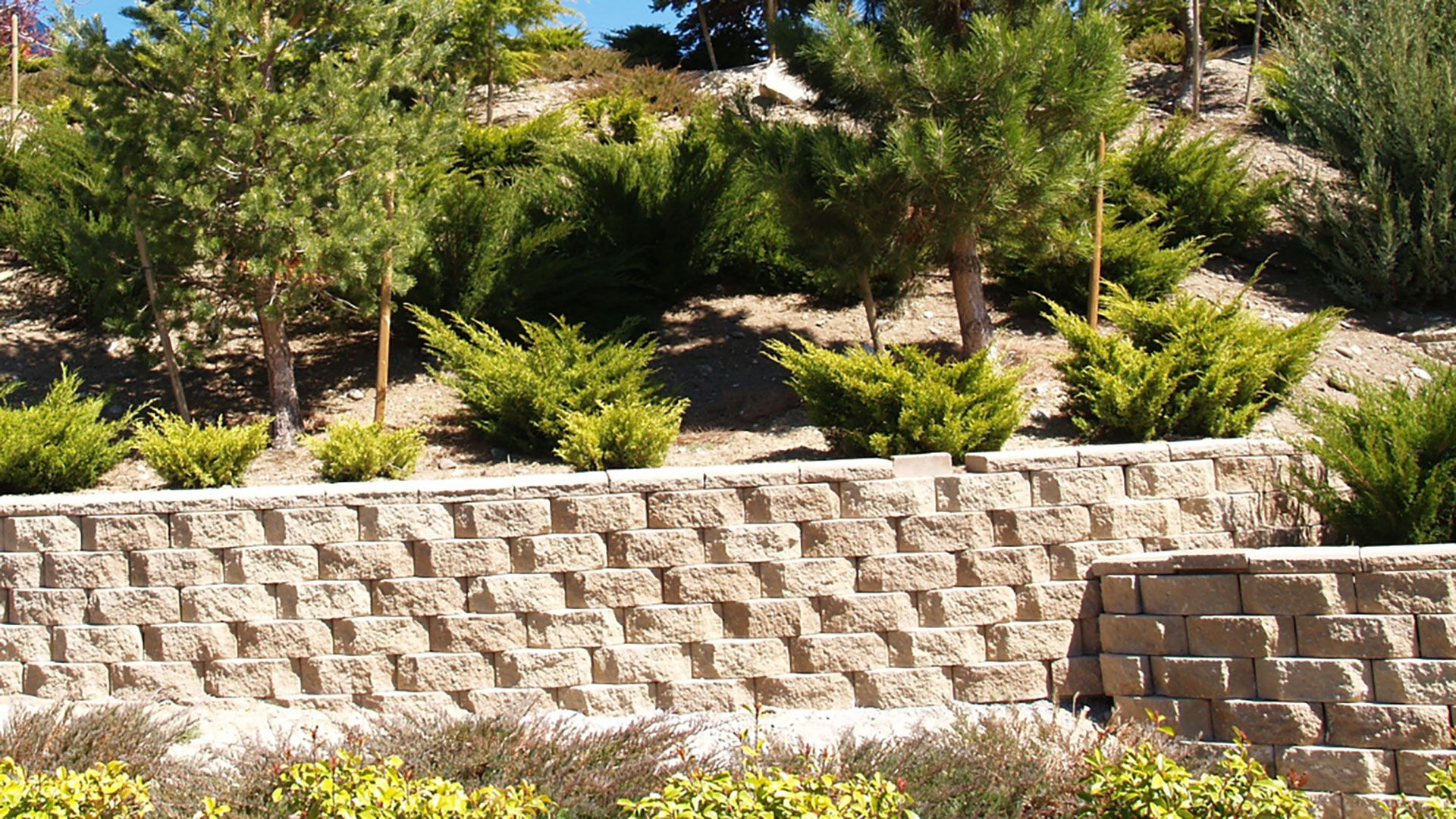 A beautifully landscaped lawn with a chamfered and staggered brick retaining wall with shrubs.