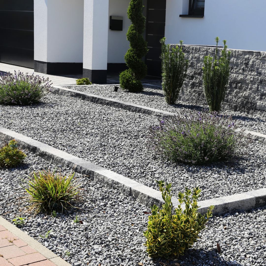 Xeriscape landscape with drought-tolerant plants, gravel beds, and low-water design.