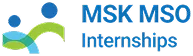 Logo with blue, green, and gray shapes next to text reading MSK MSO Internships in blue.