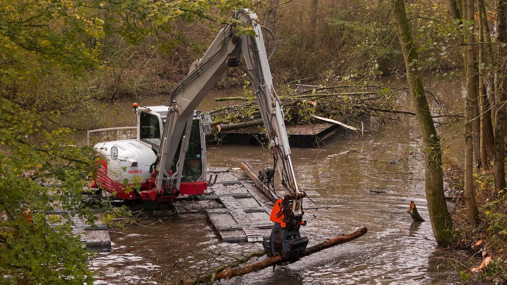 Een amfibische kraan van Van der Lee werkt midden in een smalle watergang, omringd door herfstige bomen. De kraan heeft een dikke stam vast in de grijper boven het wateroppervlak.