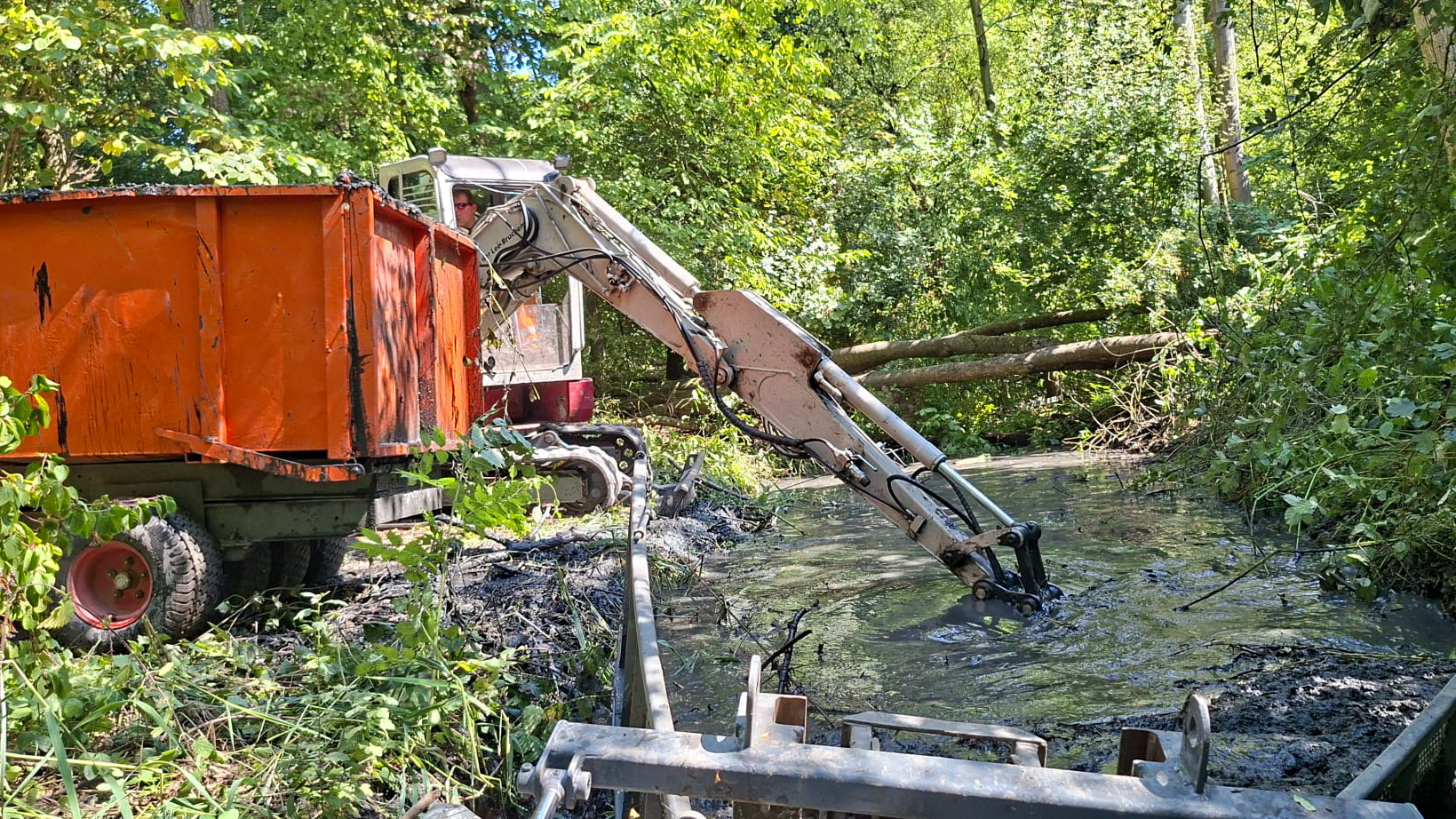 Kraan voert werkzaamheden uit aan een watergang tussen de begroeiing, waarbij vakmanschap en passend materieel zorgen voor een veilige en efficiënte uitvoering.