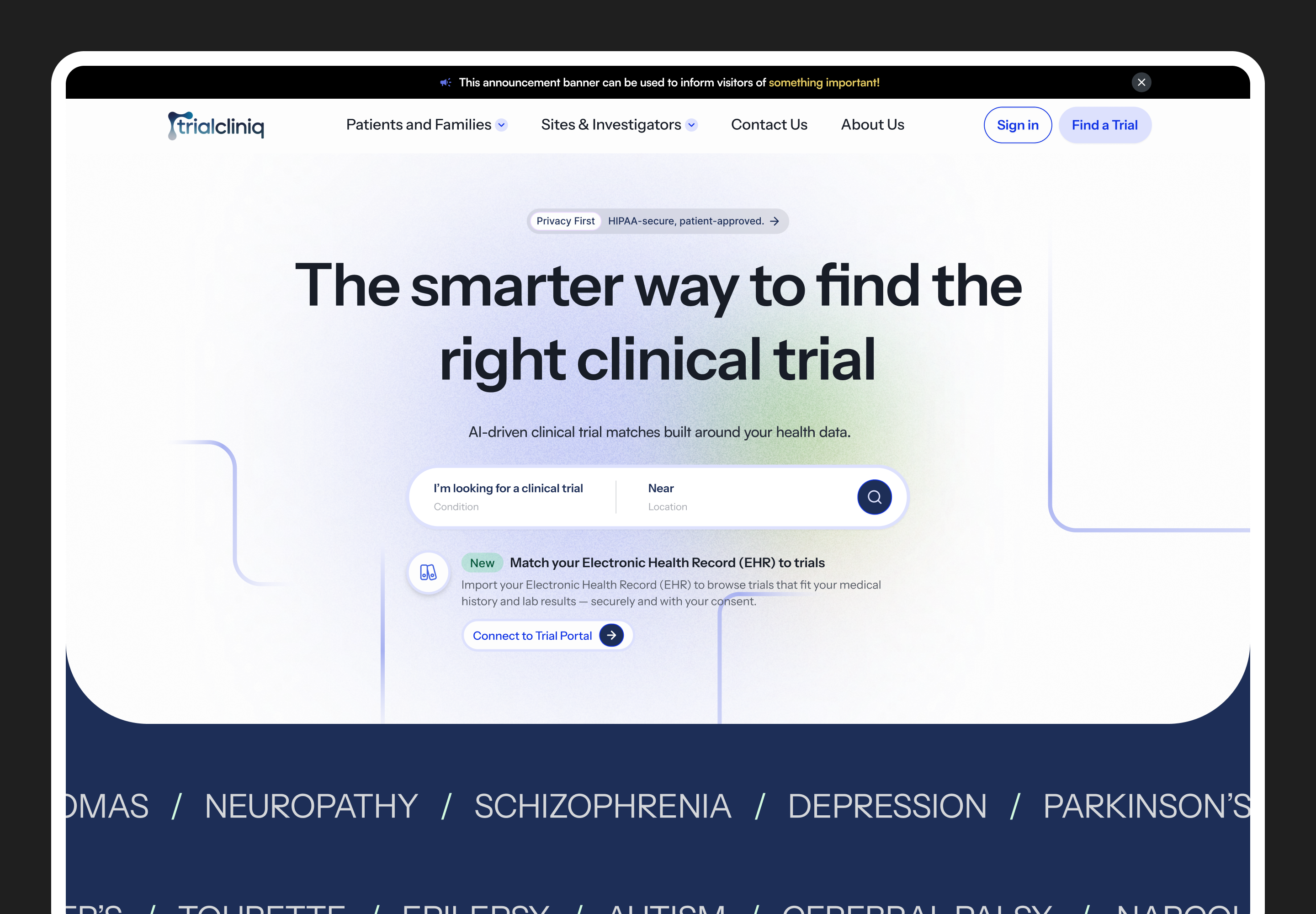 Website Mockup