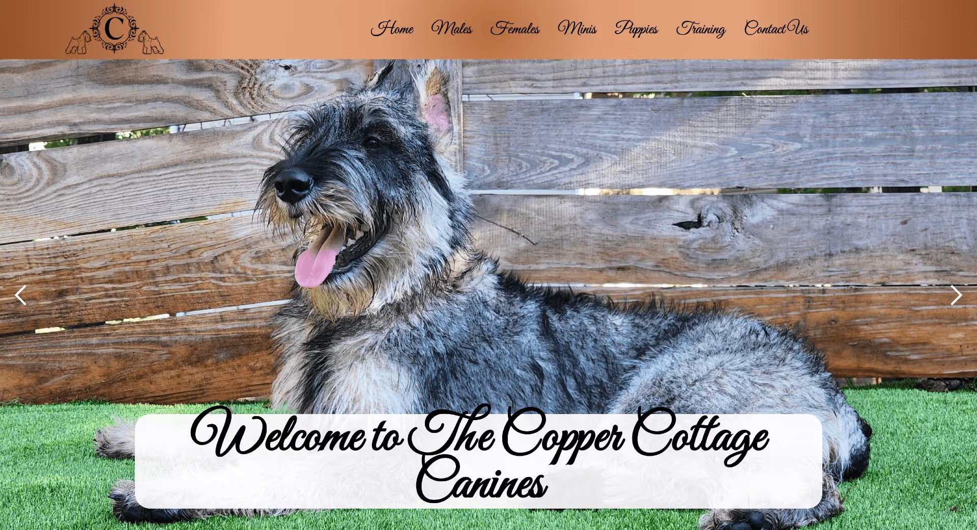 Screenshot of mobile version for a professional breeder's website featuring a clean design, high-quality images of animals, detailed breed information, and an easy-to-navigate layout for potential buyers.