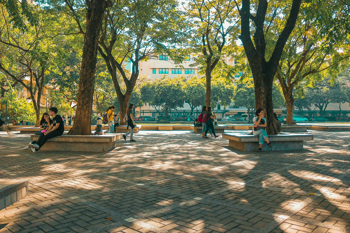 School park