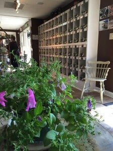 tea shop business loans
