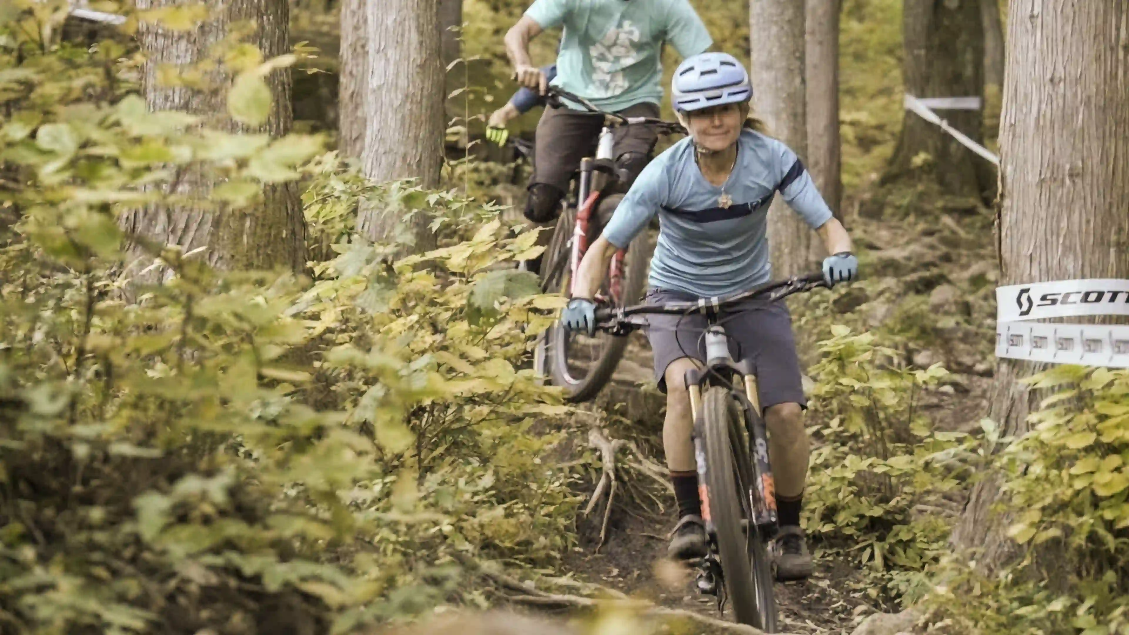 Mountain Bikers descend in cedar forest, Japanese Alps.