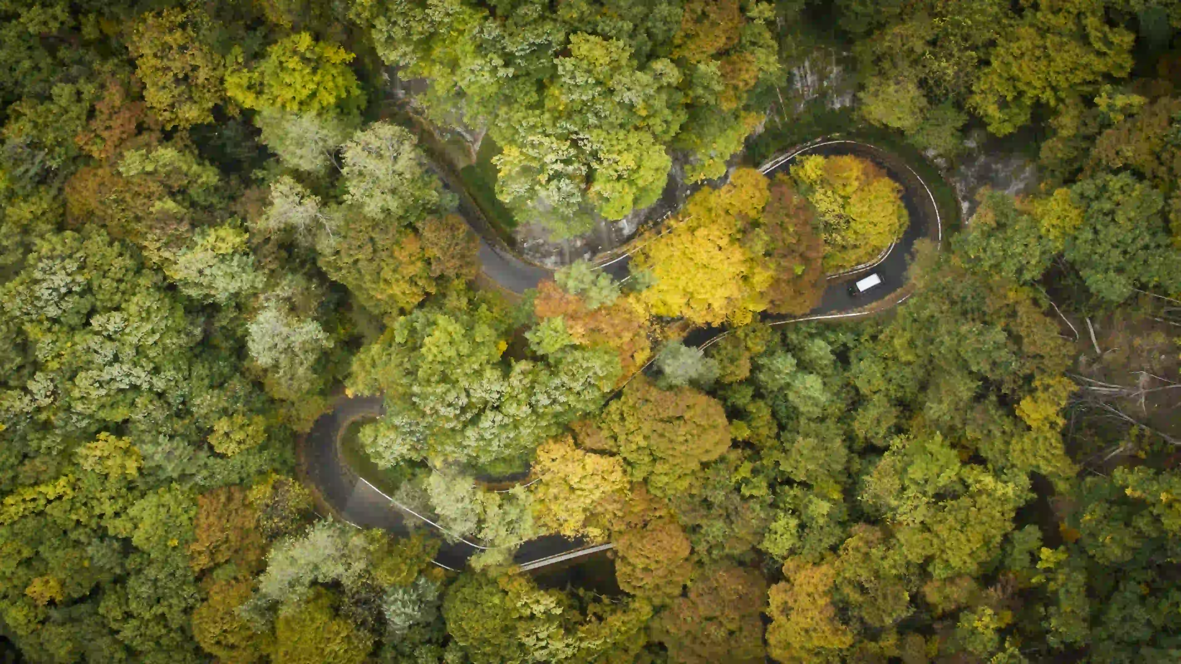 An arial shot of the van loaded with bikes winding it's way up a steep treed hillside