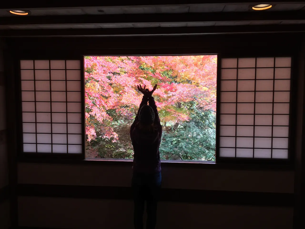A western woman make a Yoga pose silhouetted agains a fall backdrop