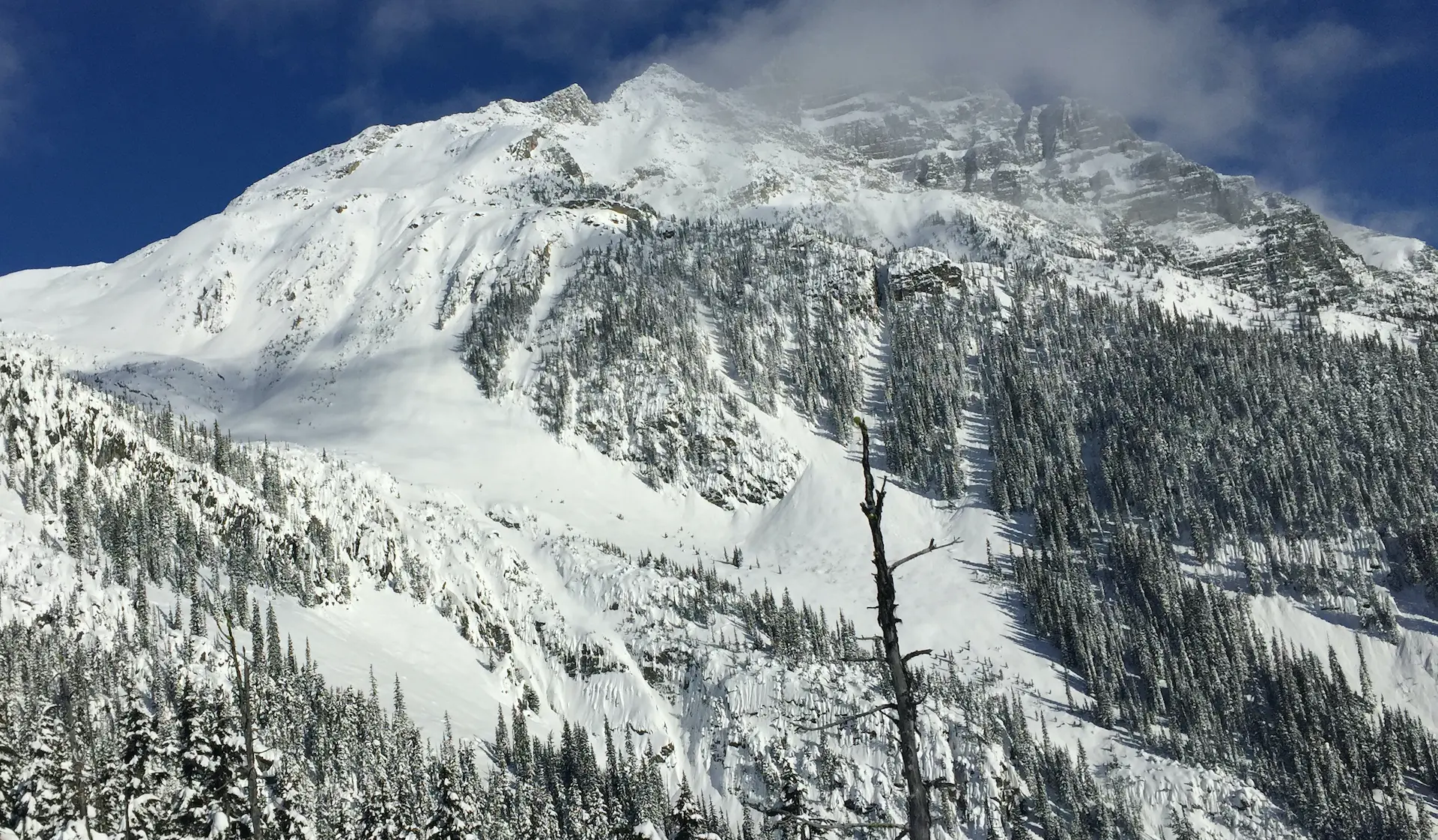 Big and erious tree-line terrain