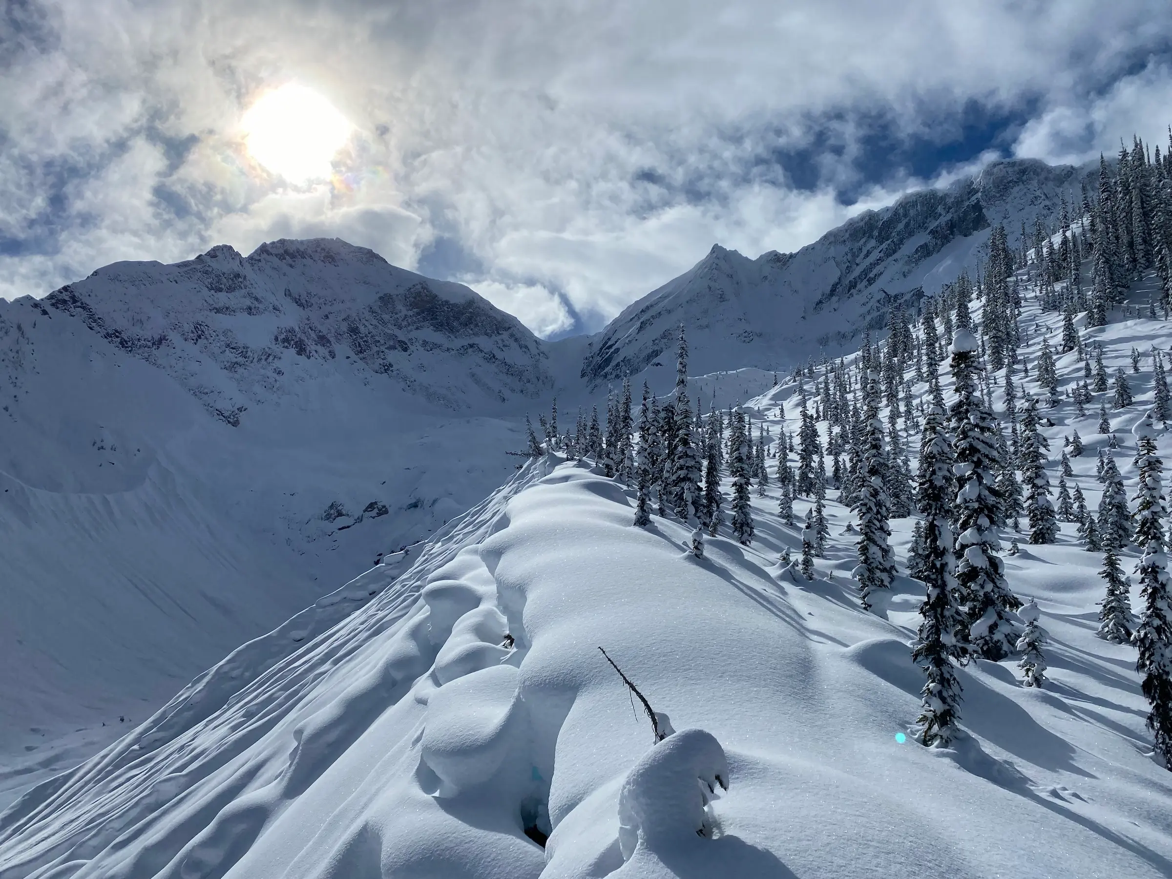 Glacier, a moraine and a high tree line, Rogers Pass