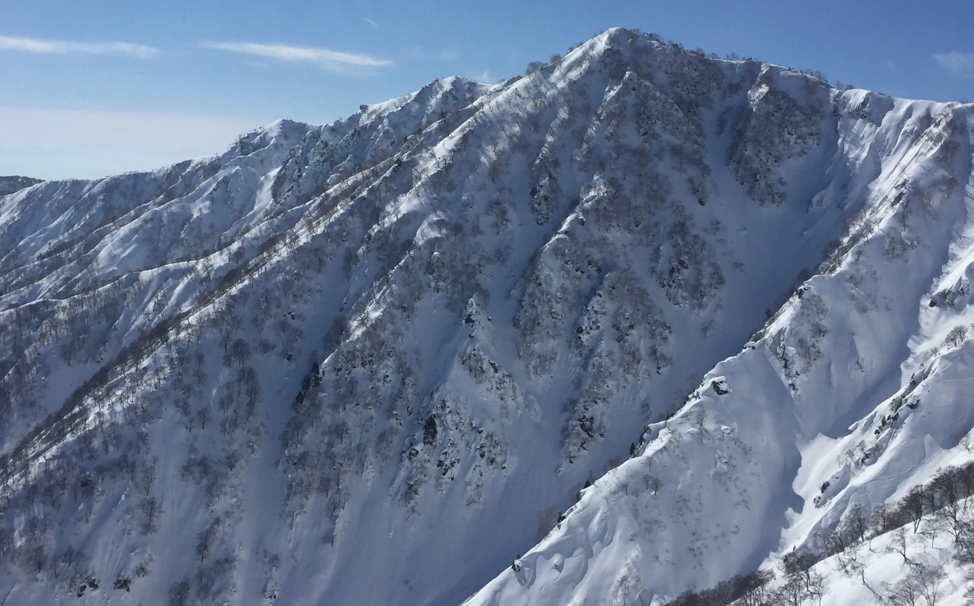 Very steep treed shoots, Hakuba