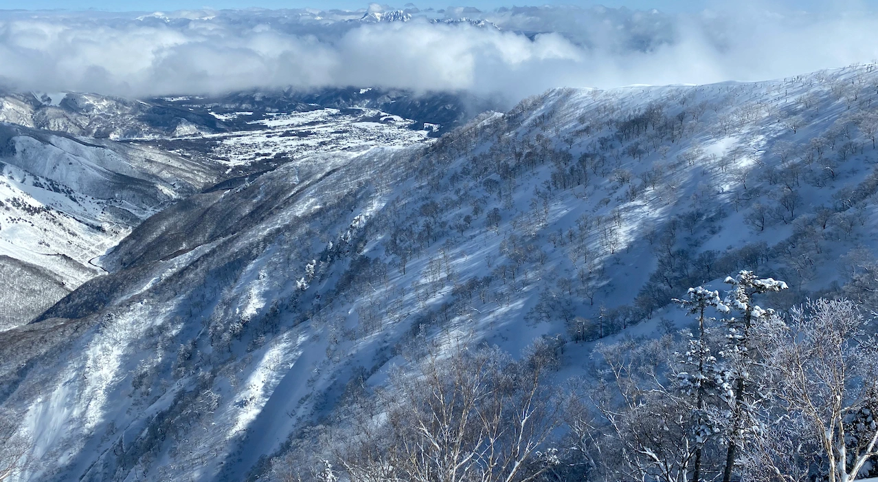 Hakuba Backcountry Tree skiing lines from a distance