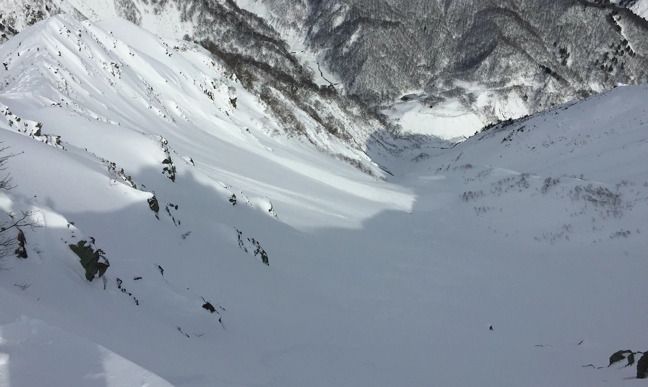 Looking down a backcountry ski line Hakuba