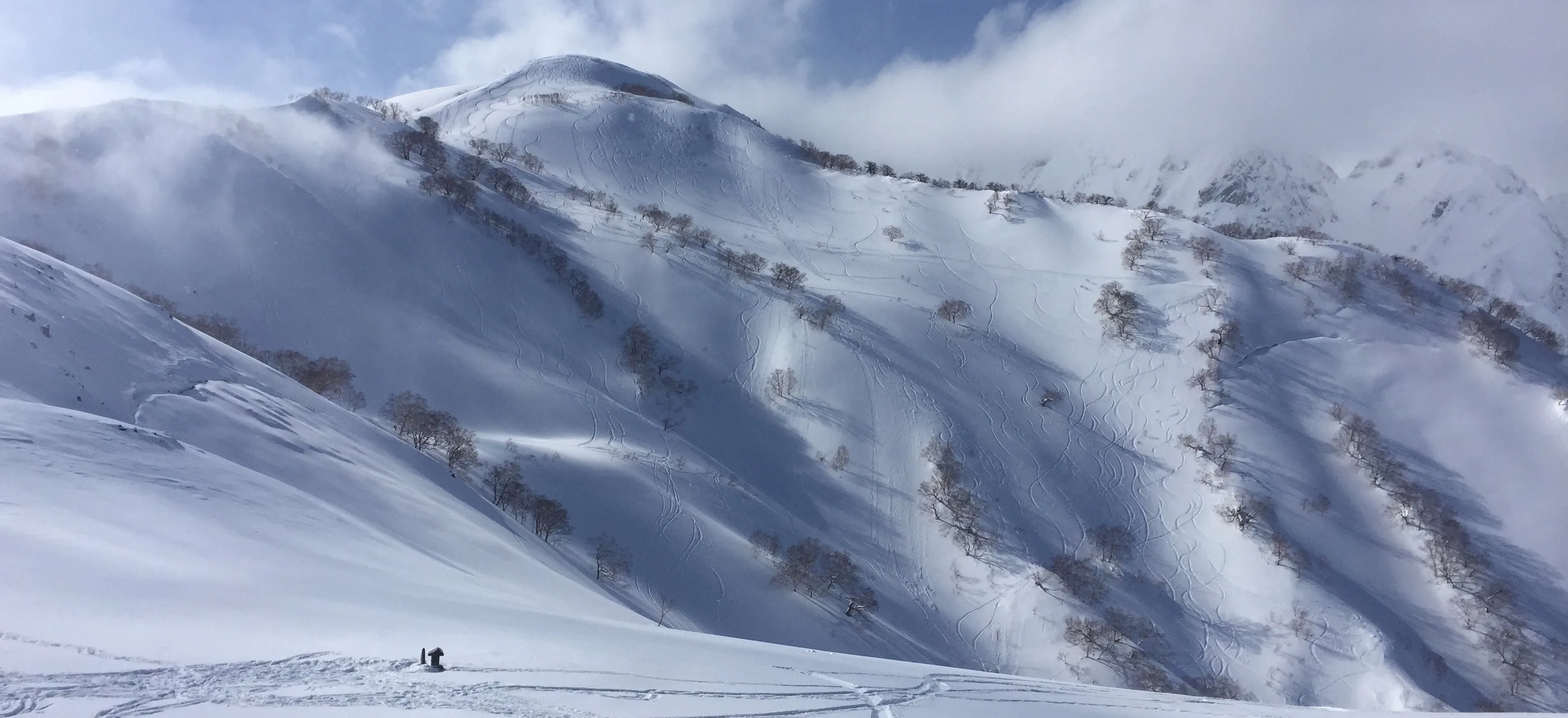 Open plainer terrain in Hakuba
